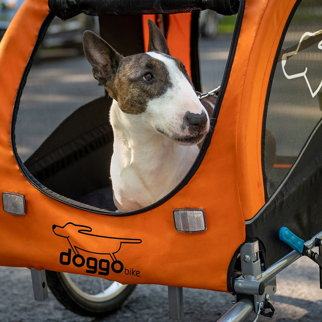 Doggo Bike - dog bike trailer designed for dogs 
