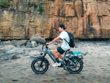 Himiway-Big-Dog-Electric-Cargo-Commuter-E-Bike-Beach-Cruiser