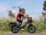 Himiway-Big-Dog-Electric-Cargo-Commuter-E-Bike-Cyclist