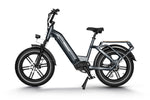 Himiway-Big-Dog-Electric-Cargo-Commuter-E-Bike-Left-Side