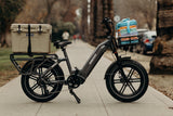 Himiway-Big-Dog-Step-Thru-Cargo-Commuting-E-Bike-Fully-Loaded