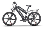 Emmo Monta X2 Electric Mountain Bike Dual Motor E-MTB Ebike Black Side Cargo Rack