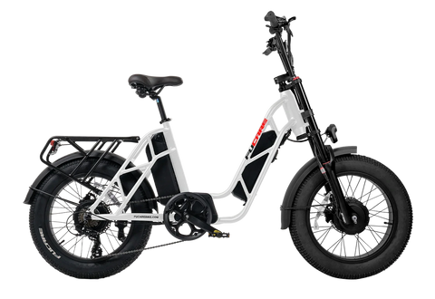 Fucare Gemini Sport Dual Motor Step-Thru E-Bike