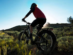 heybike-alpha-mid-drive-ebike-mountain-biking