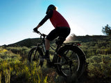 heybike-alpha-mid-drive-ebike-mountain-biking