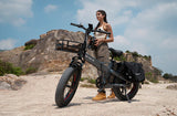 heybike-e-bike-pannier-bag-mounted