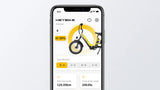 heybike-hauler-cargo-e-bike-smartphone-app