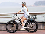 magicycle-e-bike-large-rear-rack-basket-9