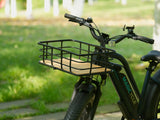 magicycle-ebike-front-basket-5-in-park